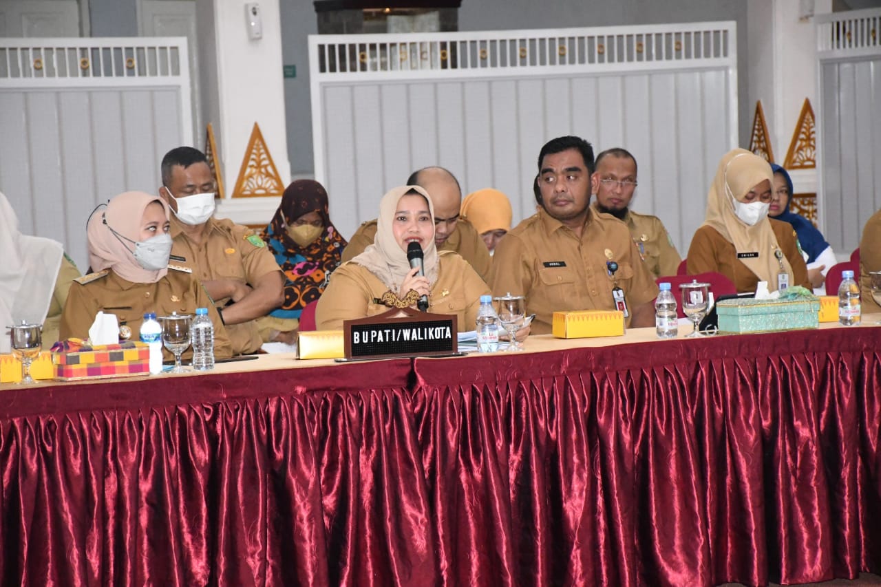 Ikuti Rakor Bersama Stafsus Wapres, Kasmarni Sampaikan Pembentukan Mall Pelayanan Publik