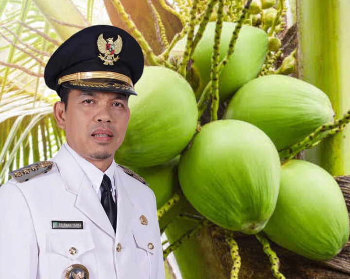Pj Bupati Inhil Apresiasi Harga Kelapa Capai Rp. 4.900 per Kilogram