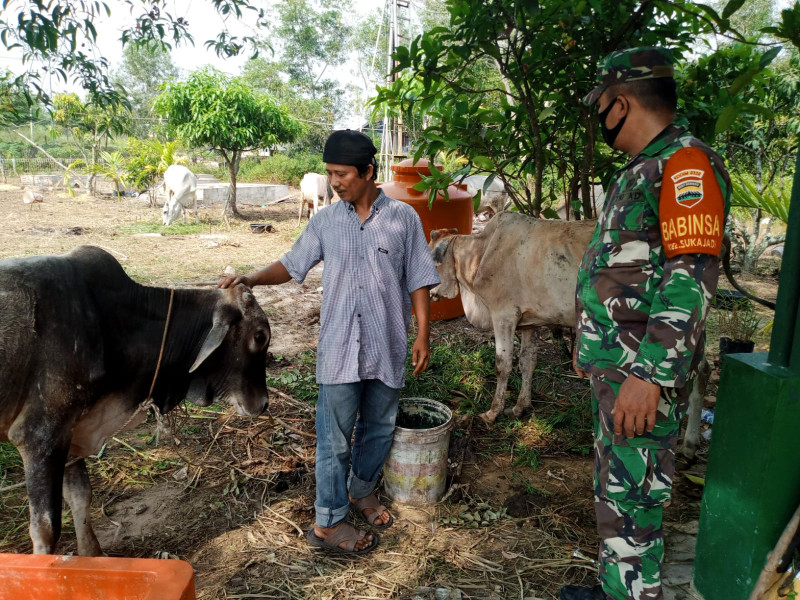 Serda Ahmad Junaidi Monitoring Wilayah Cegah PMK
