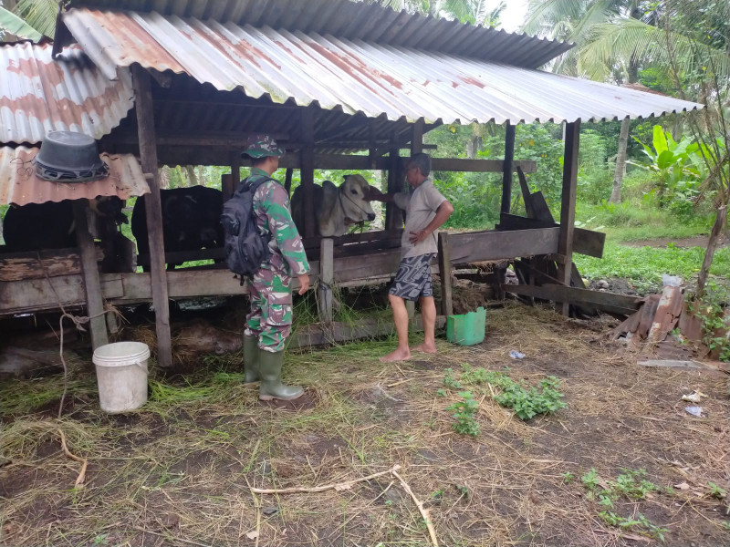 Peduli Wilayah Binaannya, Serda Iwan Sahputra Laksanakan Sosialisasi Pencegahan PMK