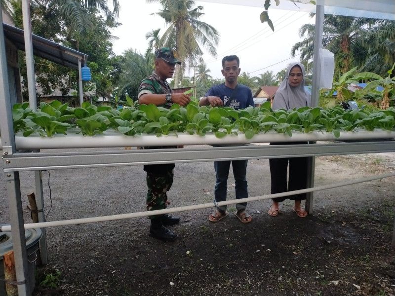 Serda Iwan Sahputra Berikan Arahan Ke Petani Hidroponik