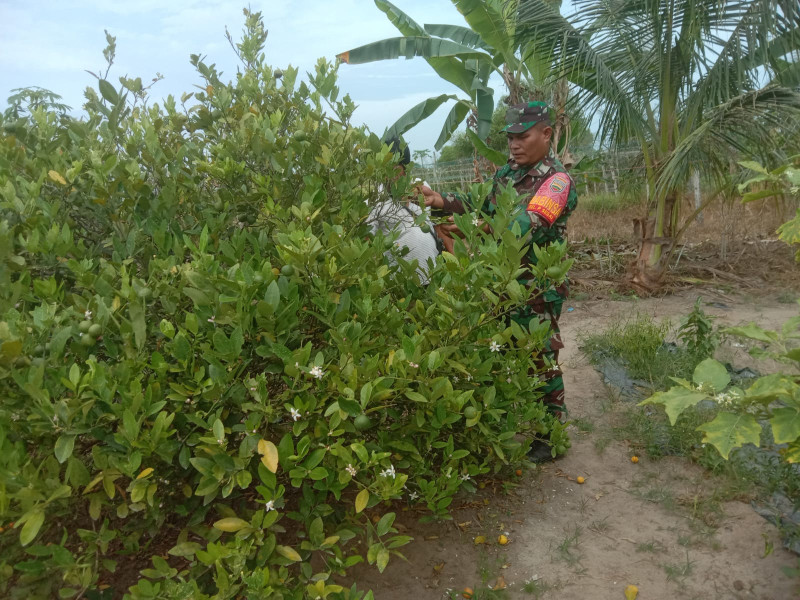 Babinsa Sambangi Petani di Wilayah Binaannya