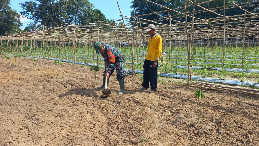 Serda Roni Sandra Laksanakan Giat Menjaga Ketahan Pangan