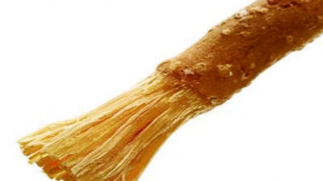 Menjaga Kesehatan Gigi Dengan Siwak