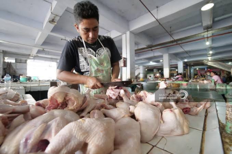 Daging Ayam Ras di Inhil Menurun Jelang Natal 2019