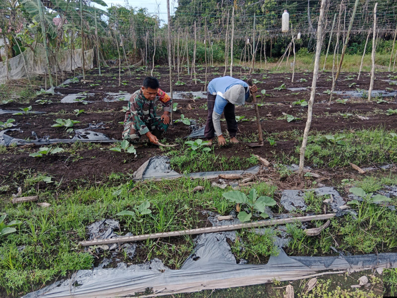 Sertu Mahyudin Sampaikan Ini Kepada Petani