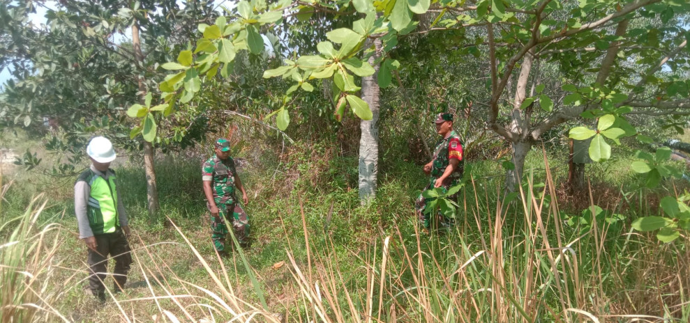 Dua Personil Babinsa Koramil 06 Merbau Melaksanakan Patroli Cegah Karhutla