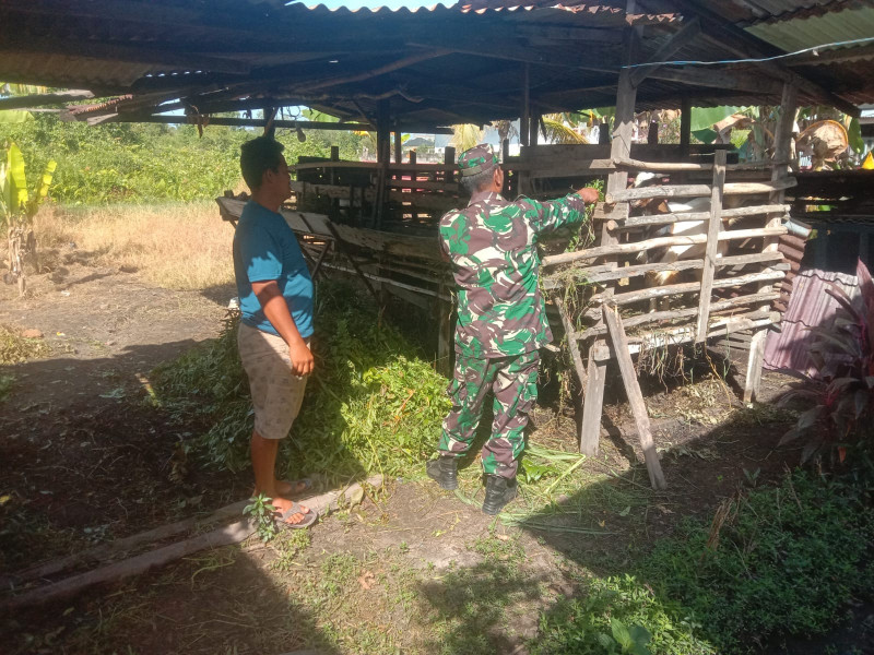 Serda Agustinus Ingatkan Peternak Mengenai PMK