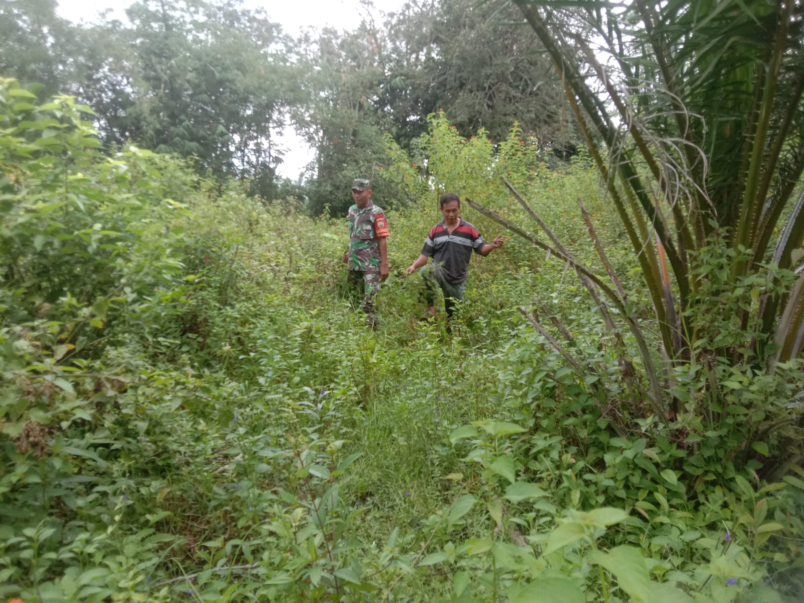 Babinsa Mundam Laksanakan Sosialisasi Pencegahan Karhutla