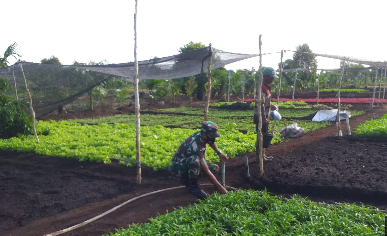 Pastikan Tidak Ada Titik Api, Sertu Sugianto Laksanakan Patroli dan Gelar Pendampingan Karya Nyata