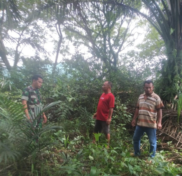 Babisan Serma Nofrianto Cek Kondisi Hutan