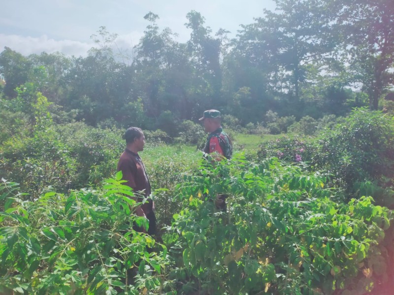 Babinsa Merbau Intensifkan Patroli Karhutla di Ketapang Permai, Wilayah Aman Tanpa Titik Api