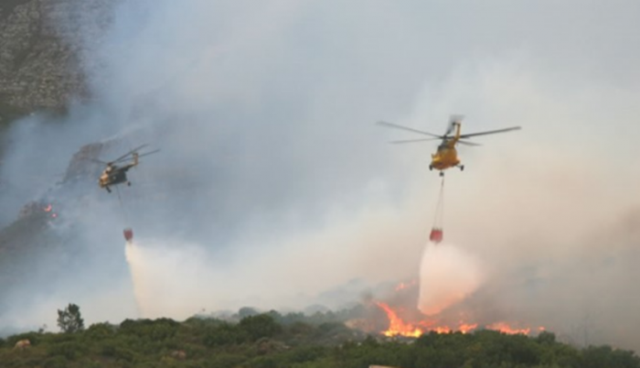 Ada 1.646 Hektare Lahan di Riau Terbakar