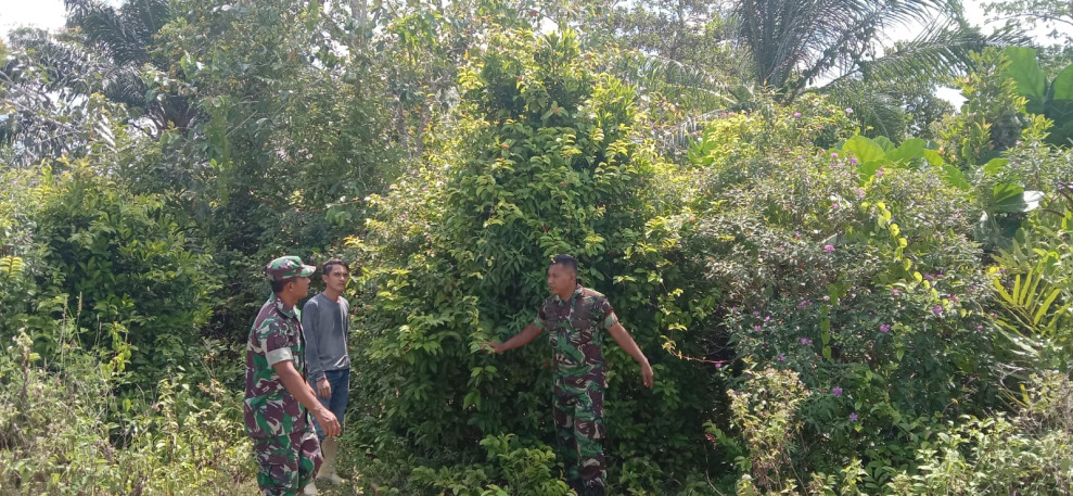 Melalui Babinsa, Kodim Bengkalis Laksanakan Patroli Cegah Karhutla