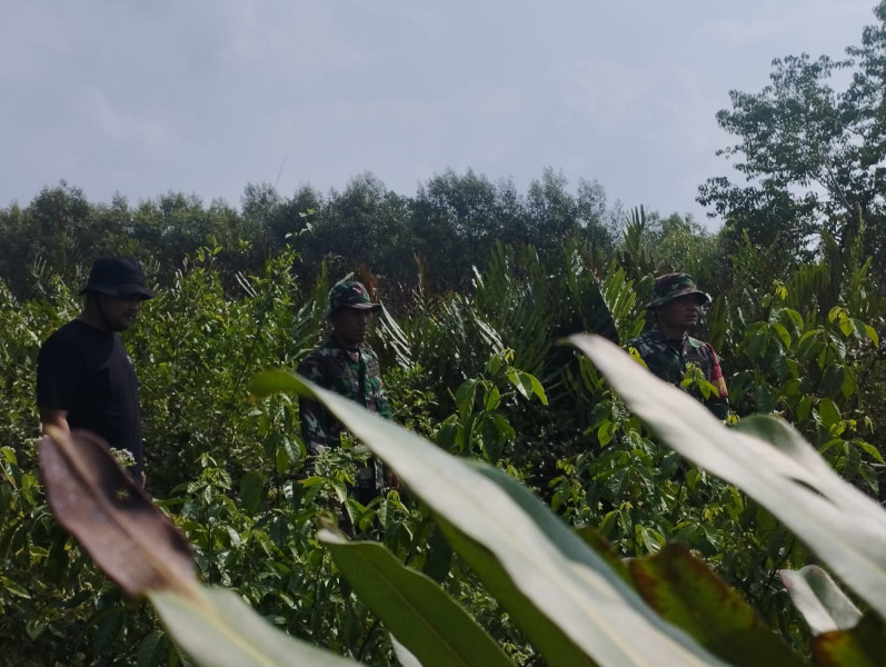 Pemantauan Dilakukan Oleh Personil Koramil 06 Merbau Untuk Mencegah Karhutla