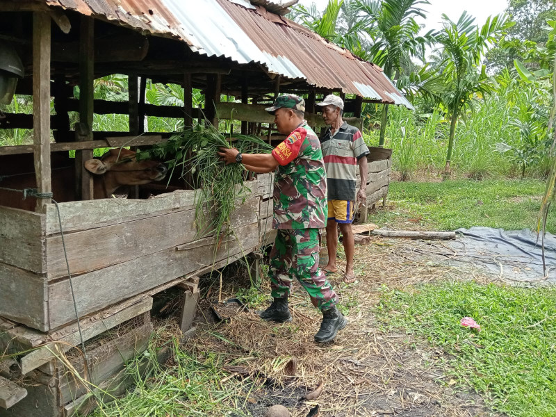 Serma Sukardi Berikan Sosialisasi Pencegahan PMK di Wilayah Binaannya