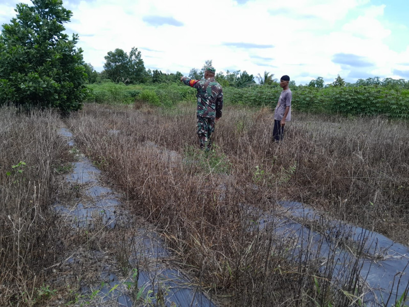 Serma F Purba Pimpin Patroli Anti Kebakaran di Wilayah Rawan Karhutla Dumai Selatan