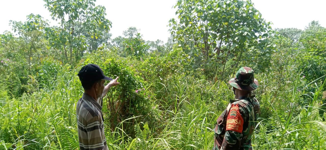 Di Bulan Puasa, Serka Suandi Laksanakan Patroli Cegah Karhutla