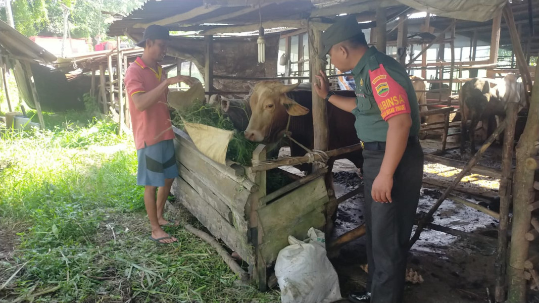Serda Jum'at Desmanto Berikan Sosialisasi Terkait Virus PMK
