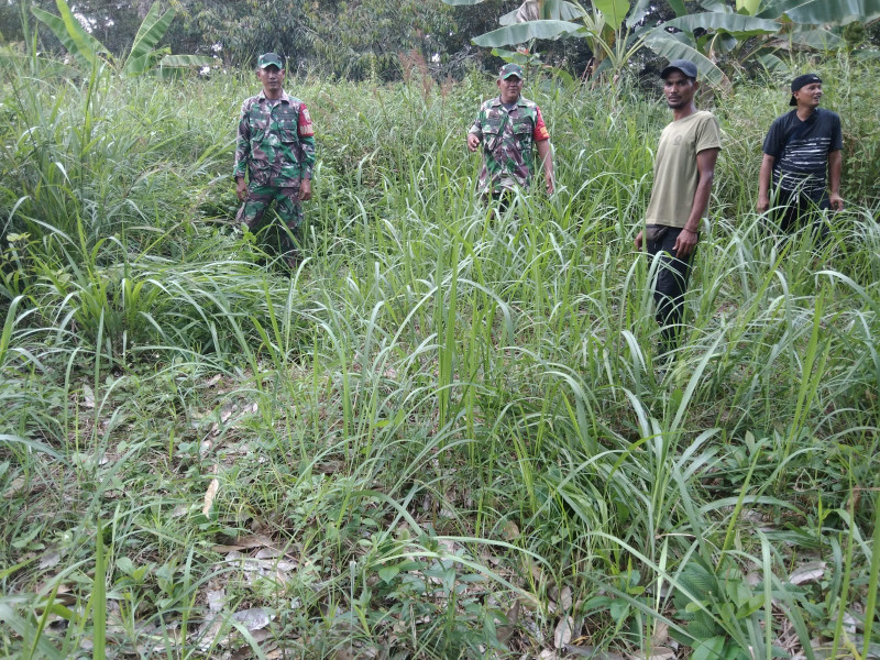 Babinsa Koramil 06 Merbau Pelda Nababan Melakukan Sosialisasi Cegah Karhutla