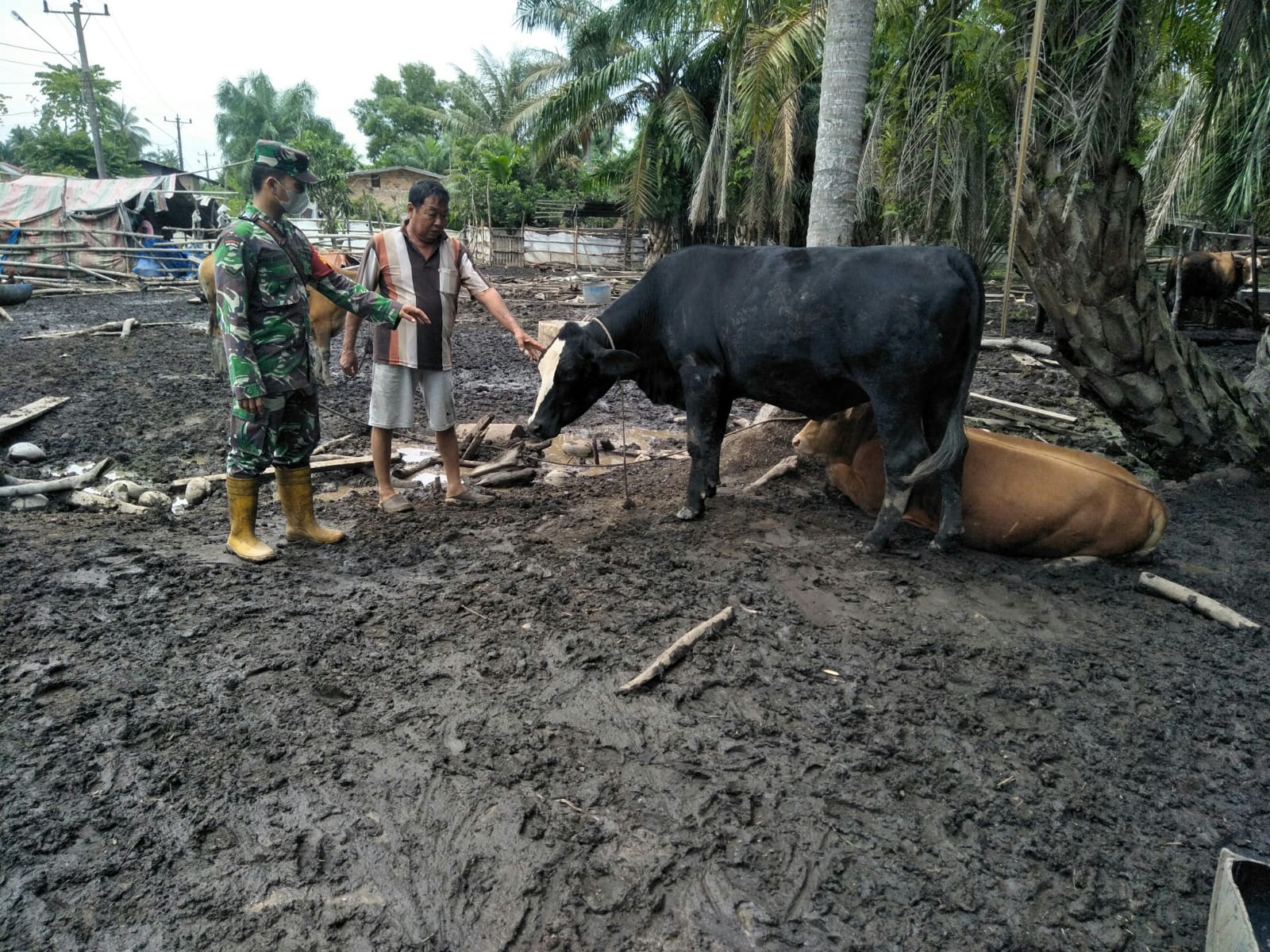 Serda Boby Rahman Pantau Hewan Ternak di Wilayah Binaannya