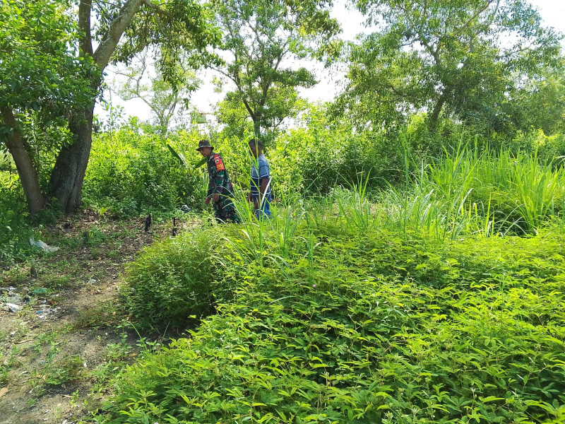 Sertu Nono S. Lakukan Sosialisasi Pencegahan Karhutla di RT 10 Bukit Batrem