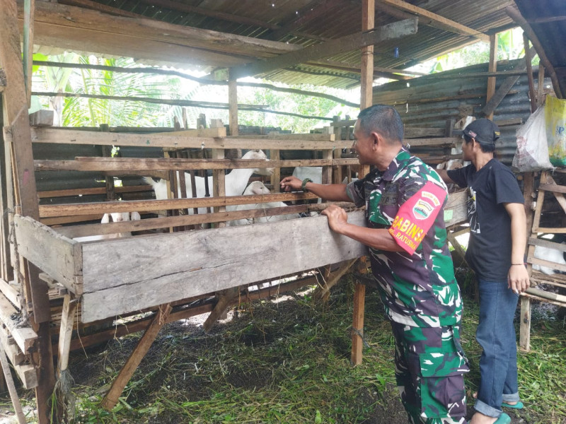 Babinsa Koramil 01/Dumai Berikan Edukasi Pencegahan Penyakit Mulut dan Kuku Kepada Peternak Kambing