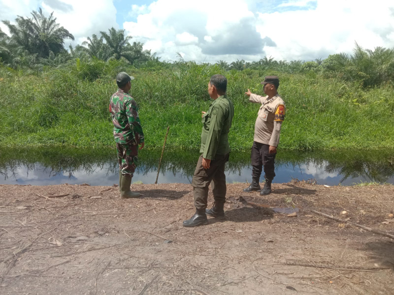 Sosialisasi dan Patroli Gabungan Sertu Afnal dan Polisi Kehutanan
