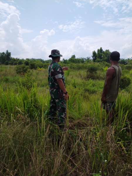 Melalui Babinsanya, Koramil 03 SS Melaksanakan Giat Cegah Karhutla