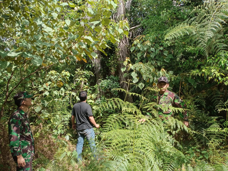 Monitoring Wilayah Oleh Serda K.Sinaga