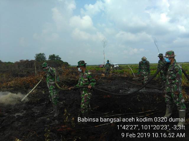 Kodim 0320/Dumai Turunkan Personel Padamkan Karhutla di Bangsal Aceh