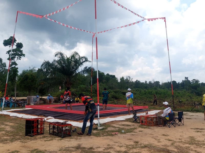 Lomba dan Kontes Burung Meriahkan HUT TNI ke-79 di Lapangan Dumai Motor