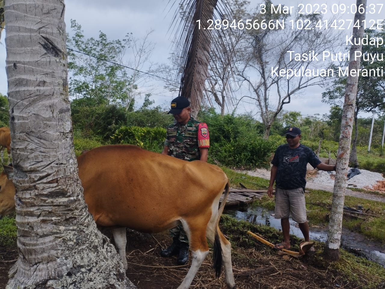 Serka Eri Efrianto Laksanakan Giat Cegah PMK