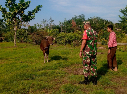 Serda Ade Laksanakan Sosialisasi Pencegahan PMK