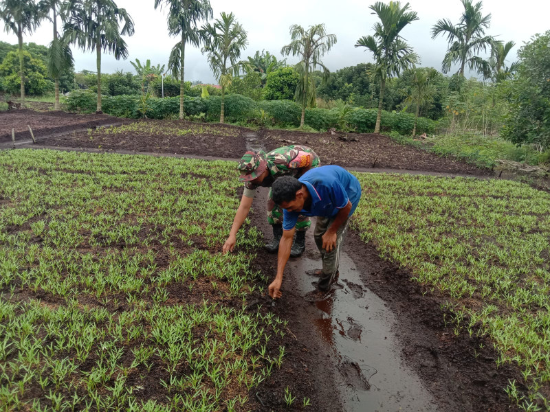 Serda Priyo S. Bantu Tejo Dalam Karya Nyata Tanaman Kangkung di RT 06