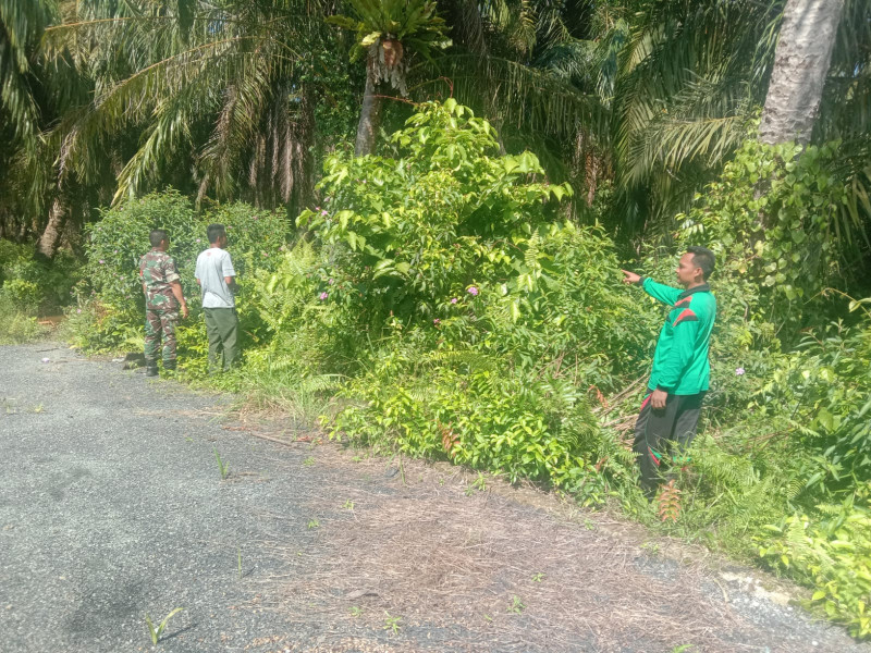Penyampaian Terkait Bahaya Karhutla Dilakukan Oleh Babinsa Sertu Jainal Arifin