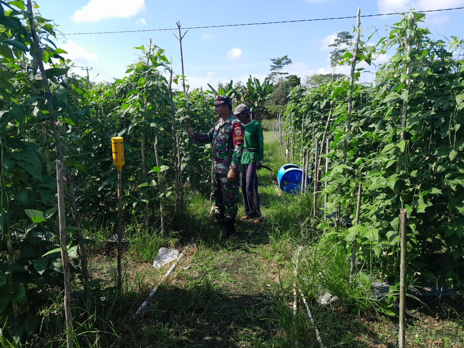 Sambangi Petani di Jalan Dualim, Serda Cerza Katno Laksanakan Pendampingan
