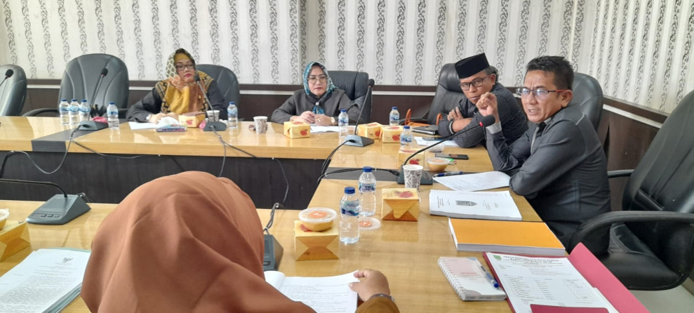 Pansus C DPRD Rohil Gelar Rapat Dengan Dinas DP2KBP3A Terkait Kabupaten Layak Anak
