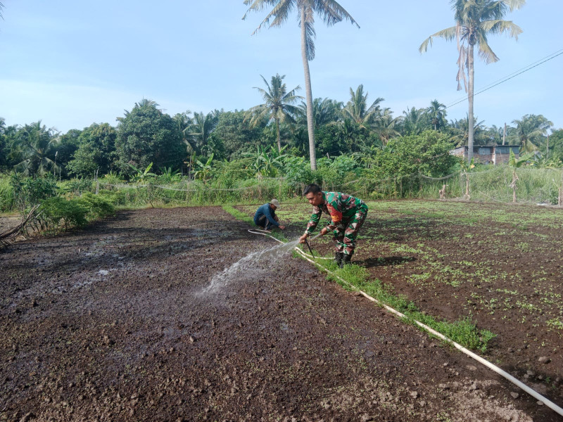 Babinsa Koramil-01/Dumai Bantu Penyiapan Lahan Tanaman Sayuran di RT 03 Kel. Purnama