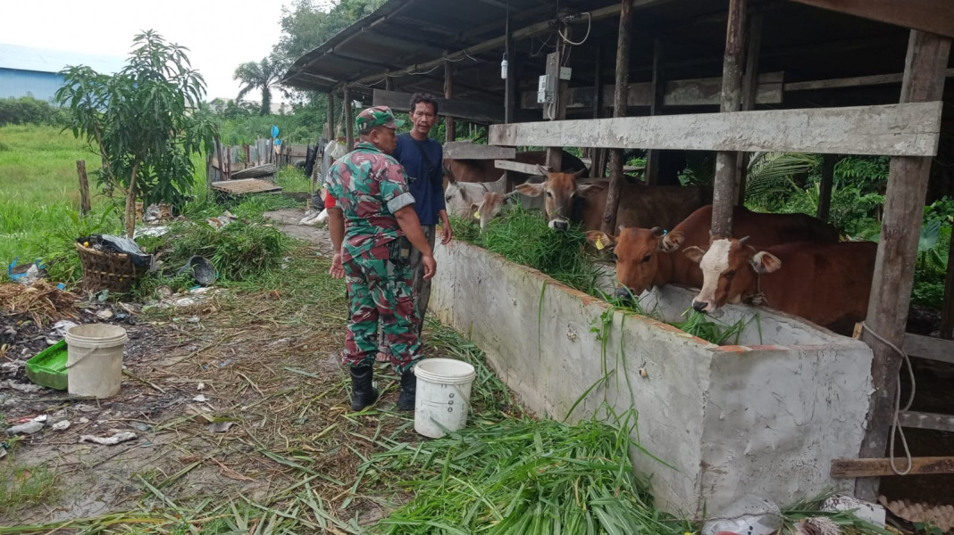 Bertempat di Jalan Tuanku Tambusai, Sertu Sareh Sampaikan Beberapa Hal Untuk Mencegah PMK