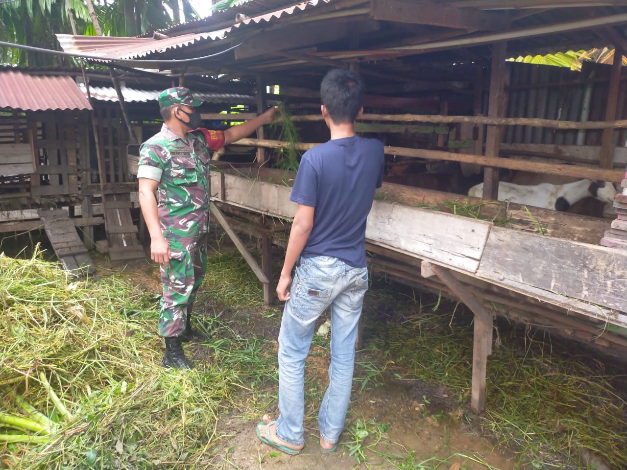 Sertu Arjuna Endar Berikan Sosialisasi Mengenai Pencegahan PMK