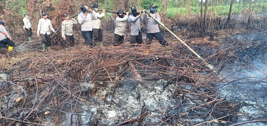 40 Hektare Lahan Gambut di Rohil Terbakar, Berhasil Dipadamkan