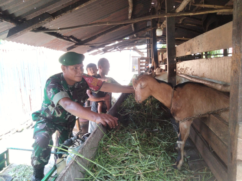 Babinsa Pangkalan Sesai Sosialisasi Pencegahan PMK dan Kesehatan Ternak