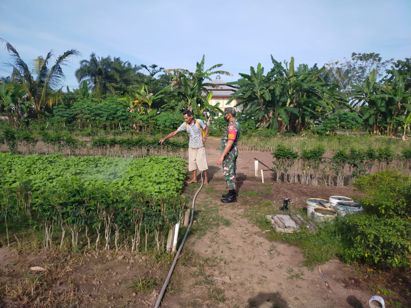 Sertu Arjuna Endar Laksanakan Pendampingan Karya Nyata Petani Bayam