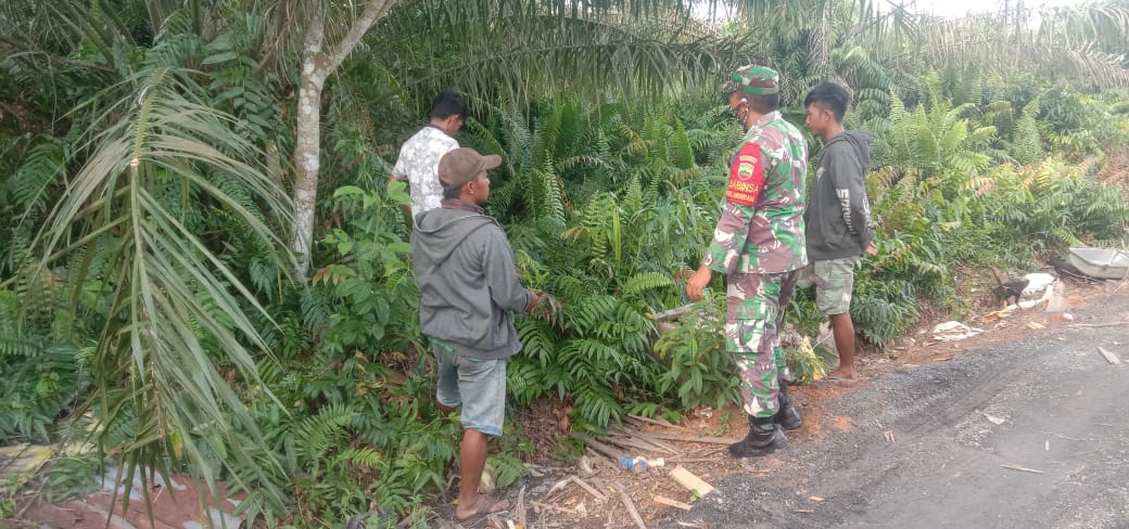 Serda Cerza Katno Patroli di Hutan Gambut