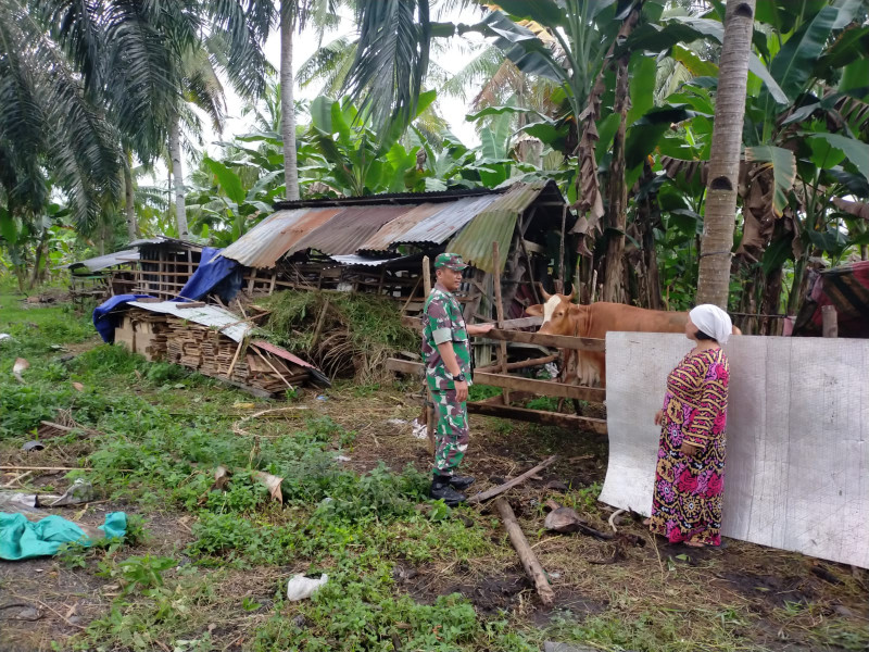 Serda Iwan Sahputra Laksanakan Sosialisasi Pencegahan PMK
