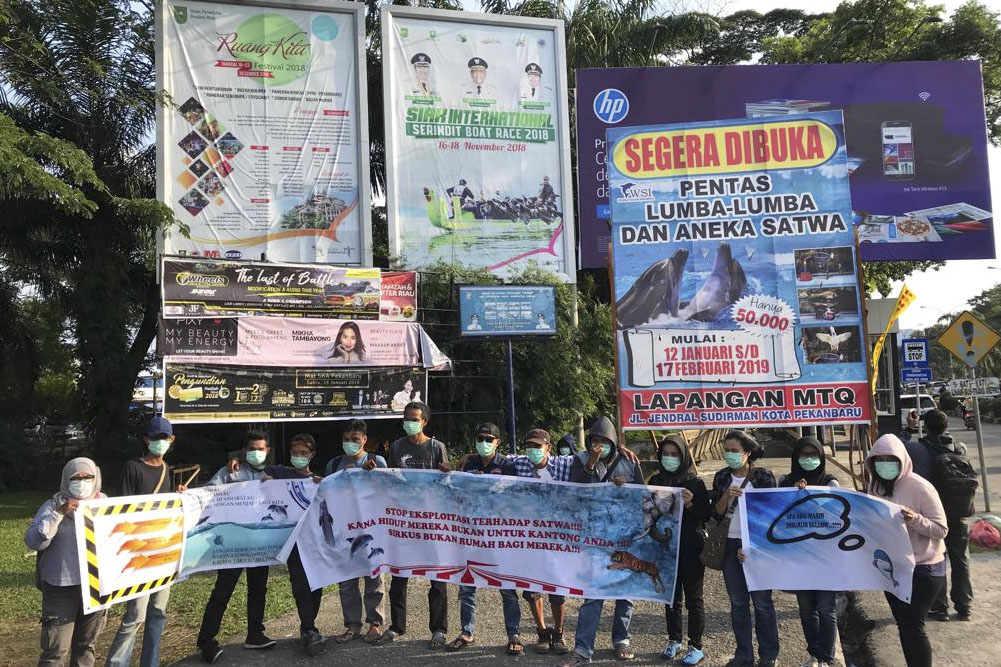 Sekelompok Masyarakat Riau Menolak Pentas Lumba-Lumba Di Pekanbaru