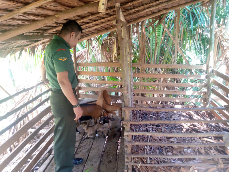 Cek Kesehatan Hewan Ternak, Ini Harapan Serda Ade D Purba