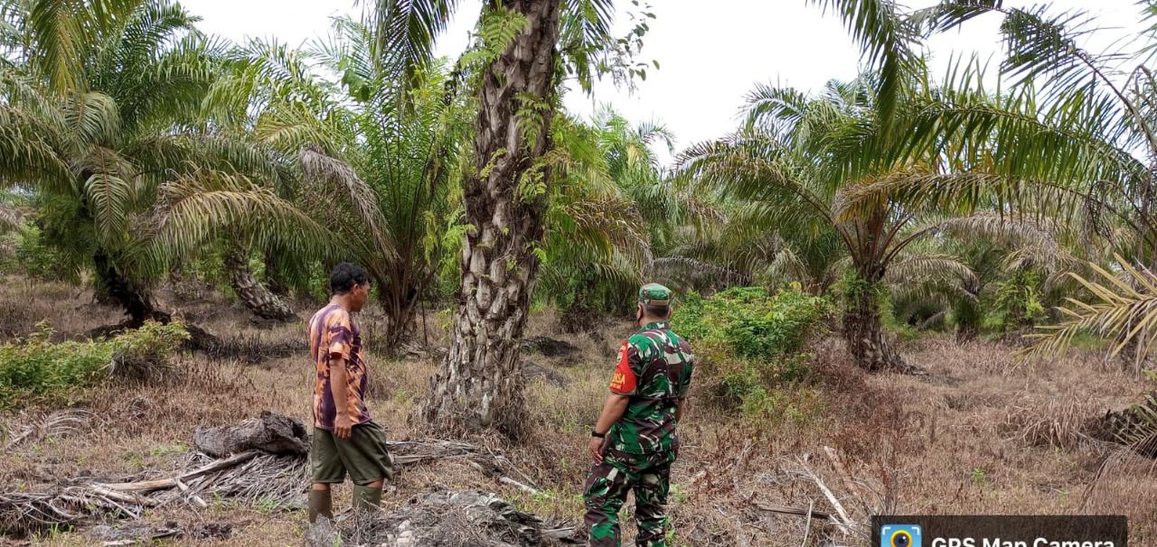 Babinsa Koramil 02 Laksanakan Patroli Cegah Karhutla