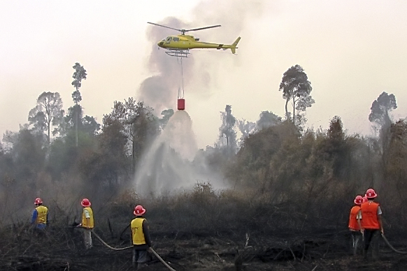 Awal Tahun 2019, 66,5 Hektare Lahan Gambut di Riau Terbakar